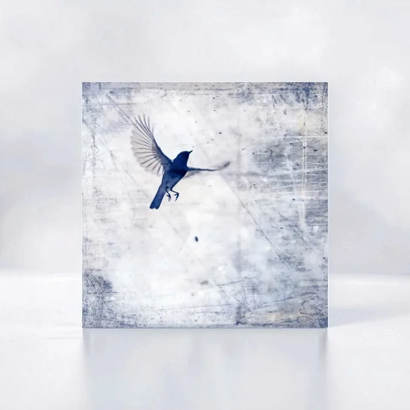 Wandbild Blaumeise, Vogel im Shabby Chic Landhausstil