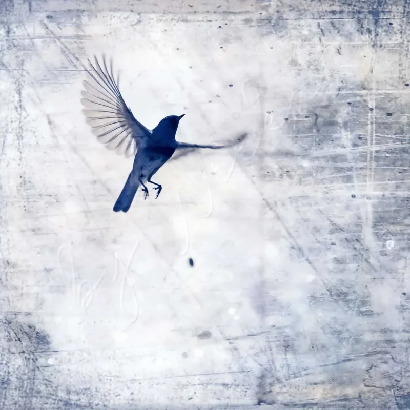 minimalistisches wandbild kleiner Vogel im Shabby Chic Landhausstil