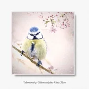 Wandbild Blaumeise Vogel im Shabby Chic Landhausstil als Leinwandbild kaufen