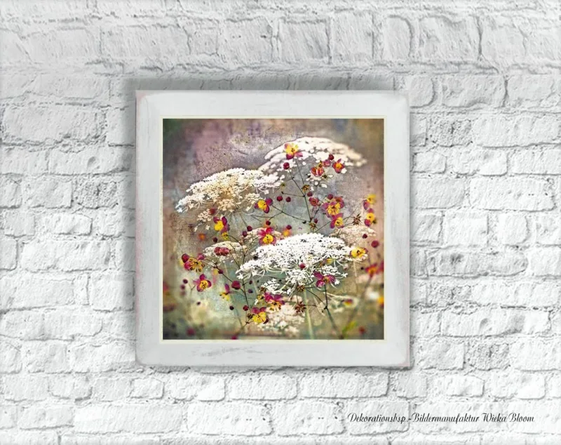 Carota, Karotten Blüten, Kunstdruck Poster, Wandbild im Shabby Chic, Landhausstil