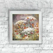Carota, Karotten Blüten, Kunstdruck Poster, Wandbild im Shabby Chic, Landhausstil