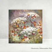 Carota, Karotten Blüten, Holzdruck, Wandbild im Shabby Chic, Landhausstil