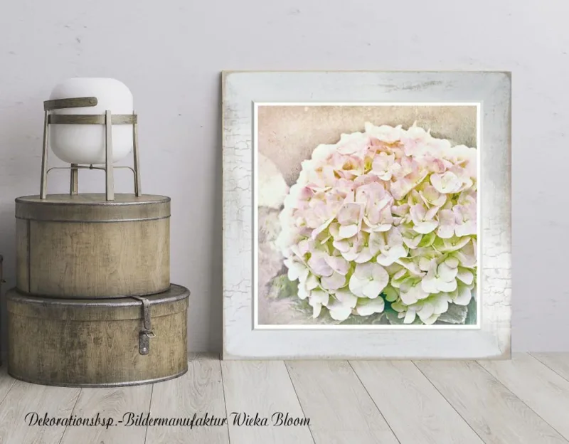 Hortensie - Blüten in Pastell, Wandbild im Shabby Chic, Landhausstil kaufen