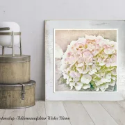 Hortensie - Blüten in Pastell, Wandbild im Shabby Chic, Landhausstil kaufen