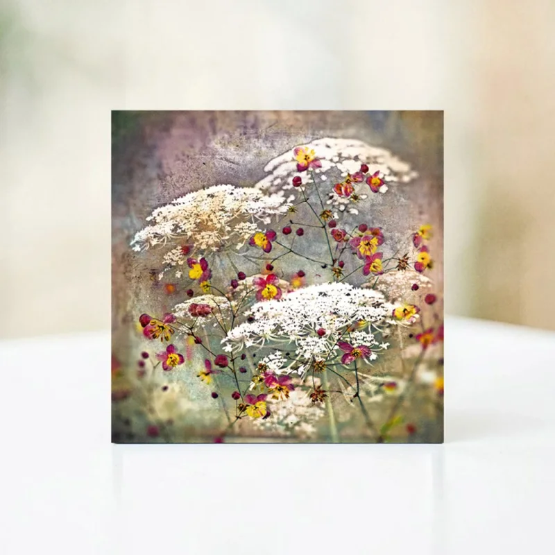 Carota, Karotten Blüten, Wandbild im Shabby Chic, Landhausstil