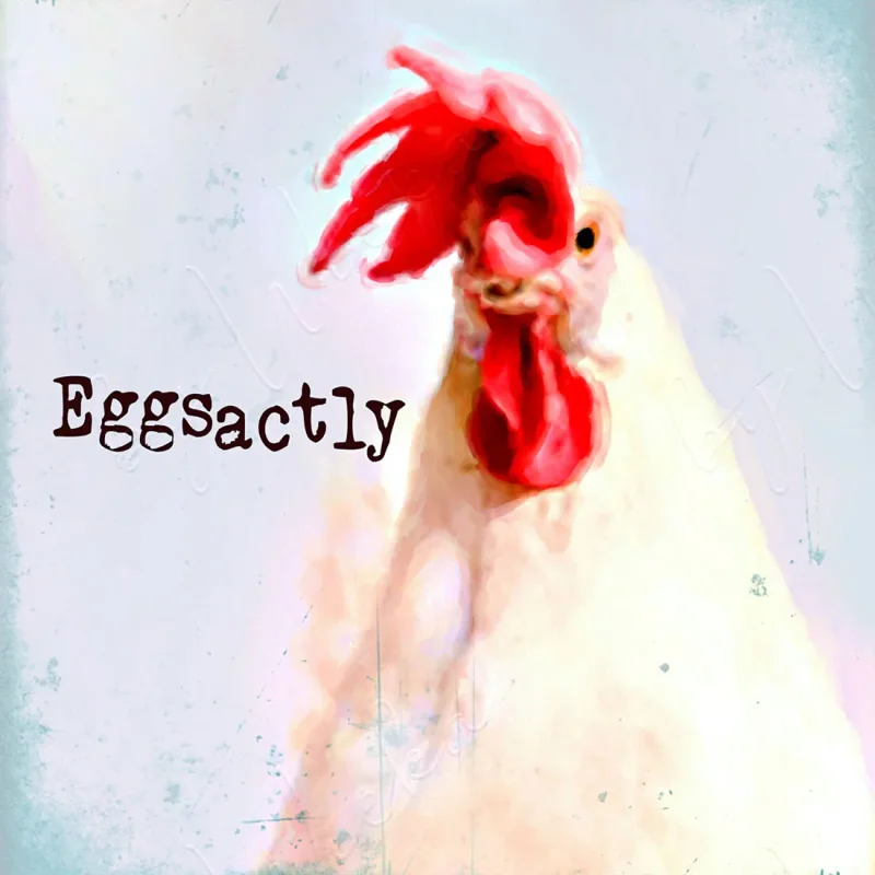 Eggsactly - Huhn, Wandbild mit humorvollem Spruch im Landhausstil günstig kaufen