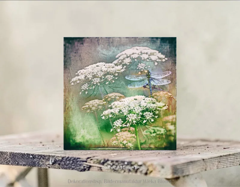 Karottenblüten mit Libelle, Wandbild als Holzdruck im Shabby Chic, Landhausstil