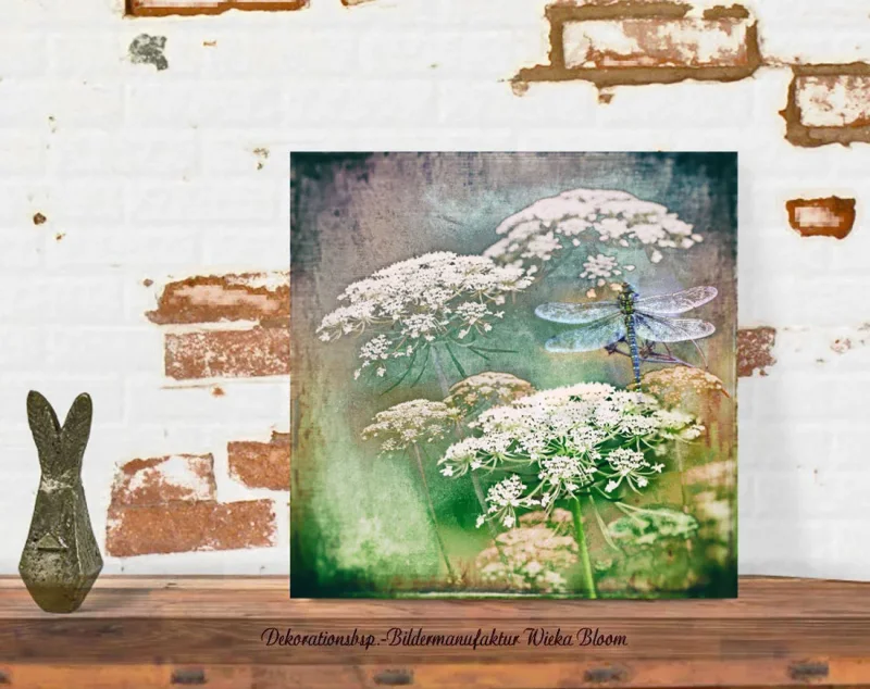 Karottenblüten mit Libelle, Wandbild als Leinwandbild im Shabby Chic, Landhausstil