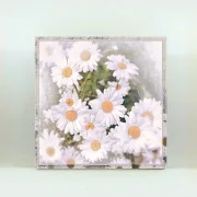 Carota, Karotten Blüten, Wandbild im Shabby Chic, Landhausstil