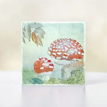 Wandbild Fliegenpilze im Shabby-Chic Landhausstil