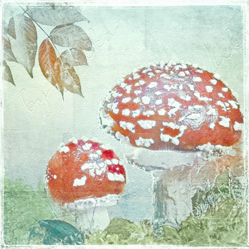 Fliegenpilze, Wandbild Waldfrüchte im Vintage Style, Landhausstil  als Leinwandbild, Kunstdruck, Holzdruck