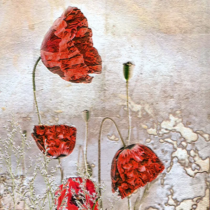 Vintage Mohnblumen, Wandbild im Vintage Style, Shabby Chic, Landhausstil,