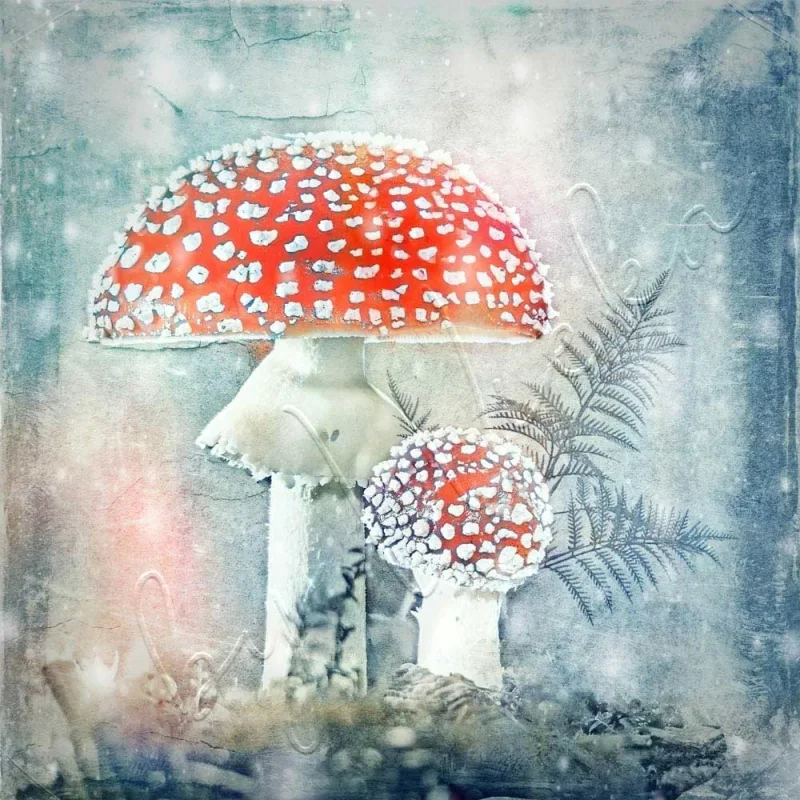 Fliegenpilze, Wanddeko im Landhausstil, Shabby-Chic, Vintage Style günstig kaufen