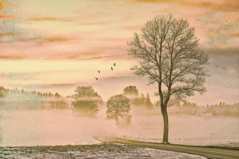 Romantisches Wandbild landschaft im Nebel im Shabby Chic, Landhausstil günstig kaufen