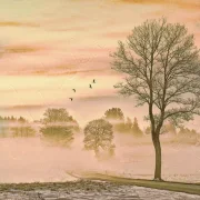 Romantisches Wandbild landschaft im Nebel im Shabby Chic, Landhausstil günstig kaufen