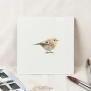 MiniWintergoldhähnchen - Aquarell, Miniatur Kunstdruck auf Büttenpapieratur, Kunstdruck nach handgemaltem Aquarell, Blumenwiese