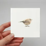Wintergoldhähnchen - Aquarell, Miniatur Kunstdruck auf Büttenpapier