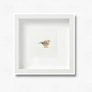 Wintergoldhähnchen - Aquarell, Miniatur Kunstdruck auf Büttenpapier