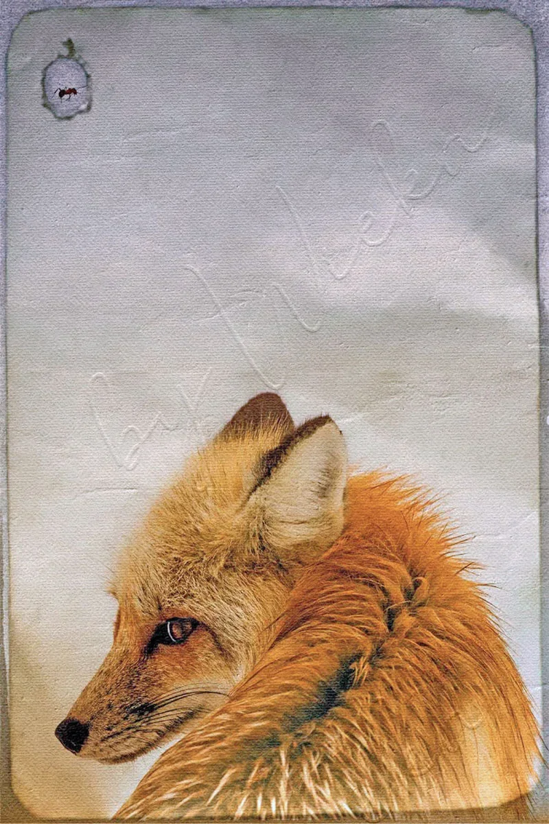 Wandbild Waldtiere - Fuchs im Shabby Chic Vintage Style, Landhausstil Wanddeko günstig kaufen