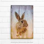 Wandbild Waldtiere - Hase im Shabby Chic Landhausstil als leinwandbild