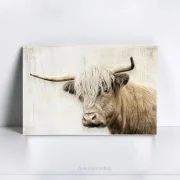 Hochlandrind, Wandbild im Landhausstil, Shabby Chic, Vintage Style kaufen