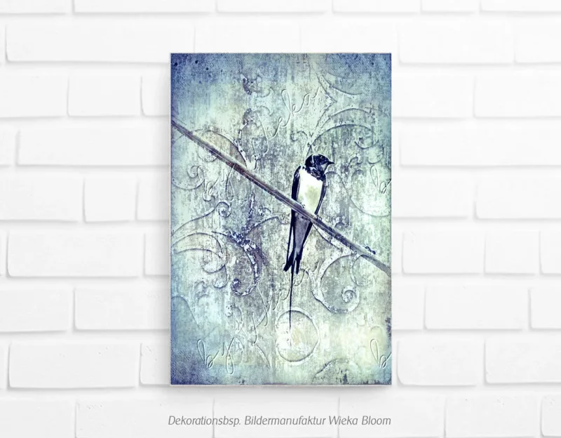 Schwalbe, Vogel, Wandbild im Shabby-Chic, Landhausstil, Vintage Style als Leinwandbild kaufen