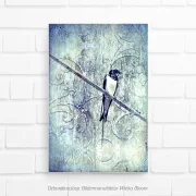 Schwalbe, Vogel, Wandbild im Shabby-Chic, Landhausstil, Vintage Style als Leinwandbild kaufen