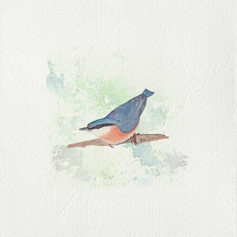 Kleiber - Aquarell, Miniatur Kunstdruck auf Büttenpapier