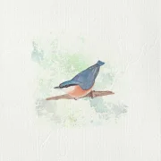 Kleiber - Aquarell, Miniatur Kunstdruck auf Büttenpapier