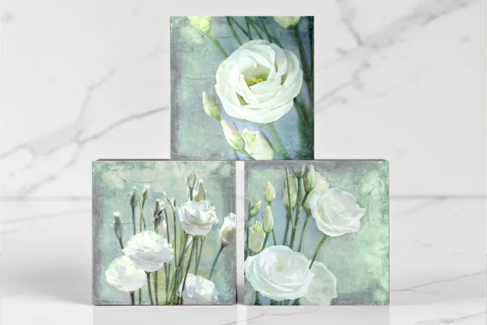 Wandbilder Pflanzenwelt Sets und Serien