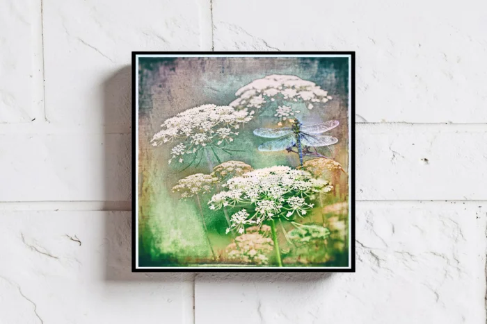 WandbildWandbilder Pflanzenwelt Blumen Bl&uuml;ten  Gr&auml;serer Bl&uuml;ten und Gr&auml;ser