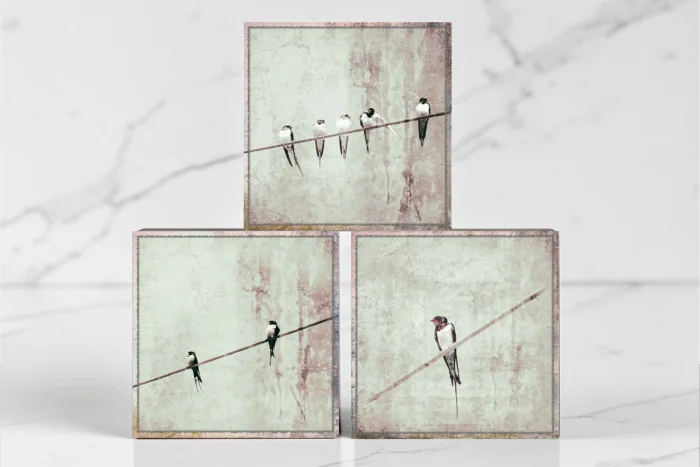 Wandbilder-Tierwelt-Sets und Serien