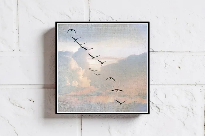 Wandbilder - Tierwelt - V&ouml;gel und Fl&uuml;geltiere