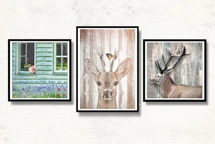 Wandbilder-Tierwelt-Waldtiere und andere Vierbeiner