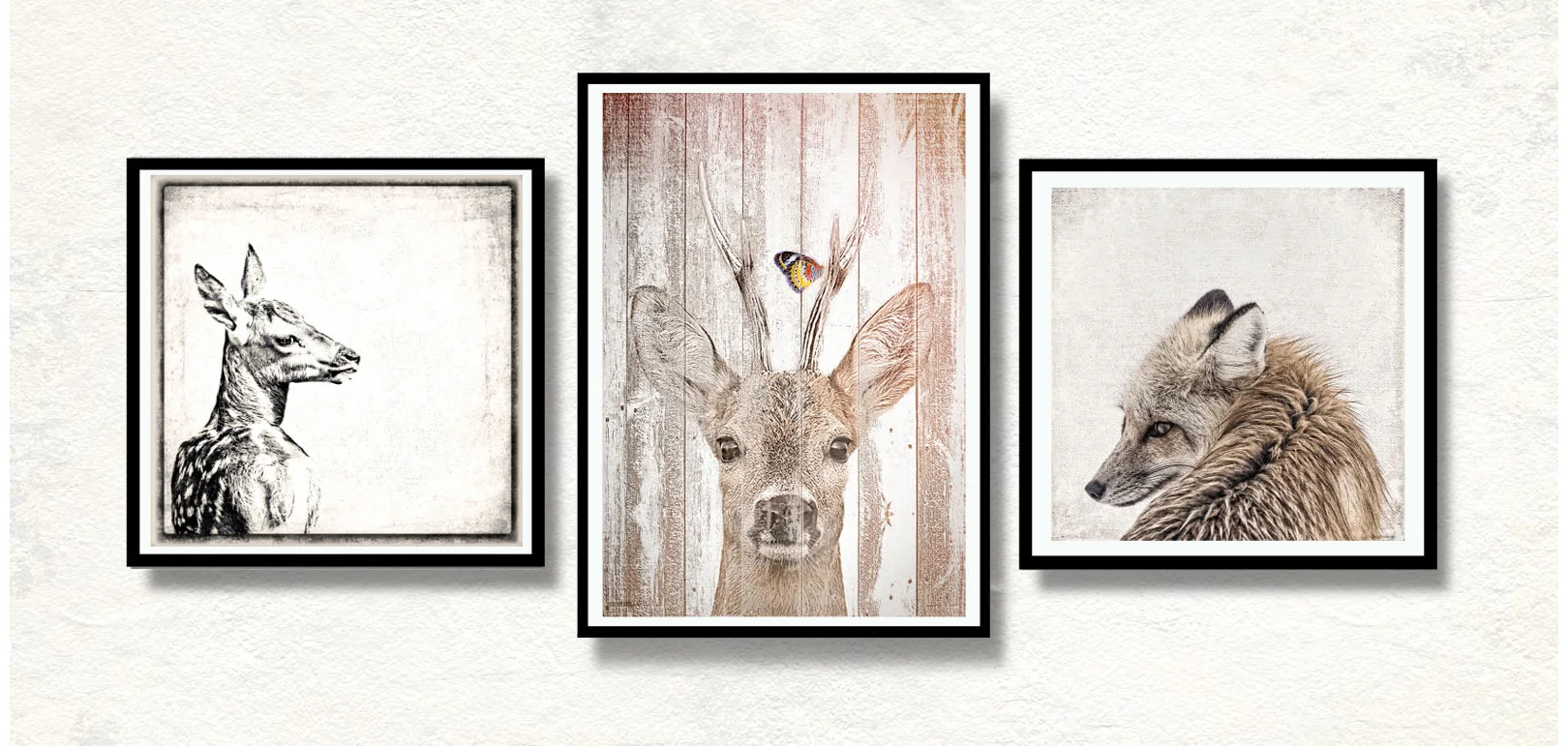 Tierwelt, Waldtiere, Vögel