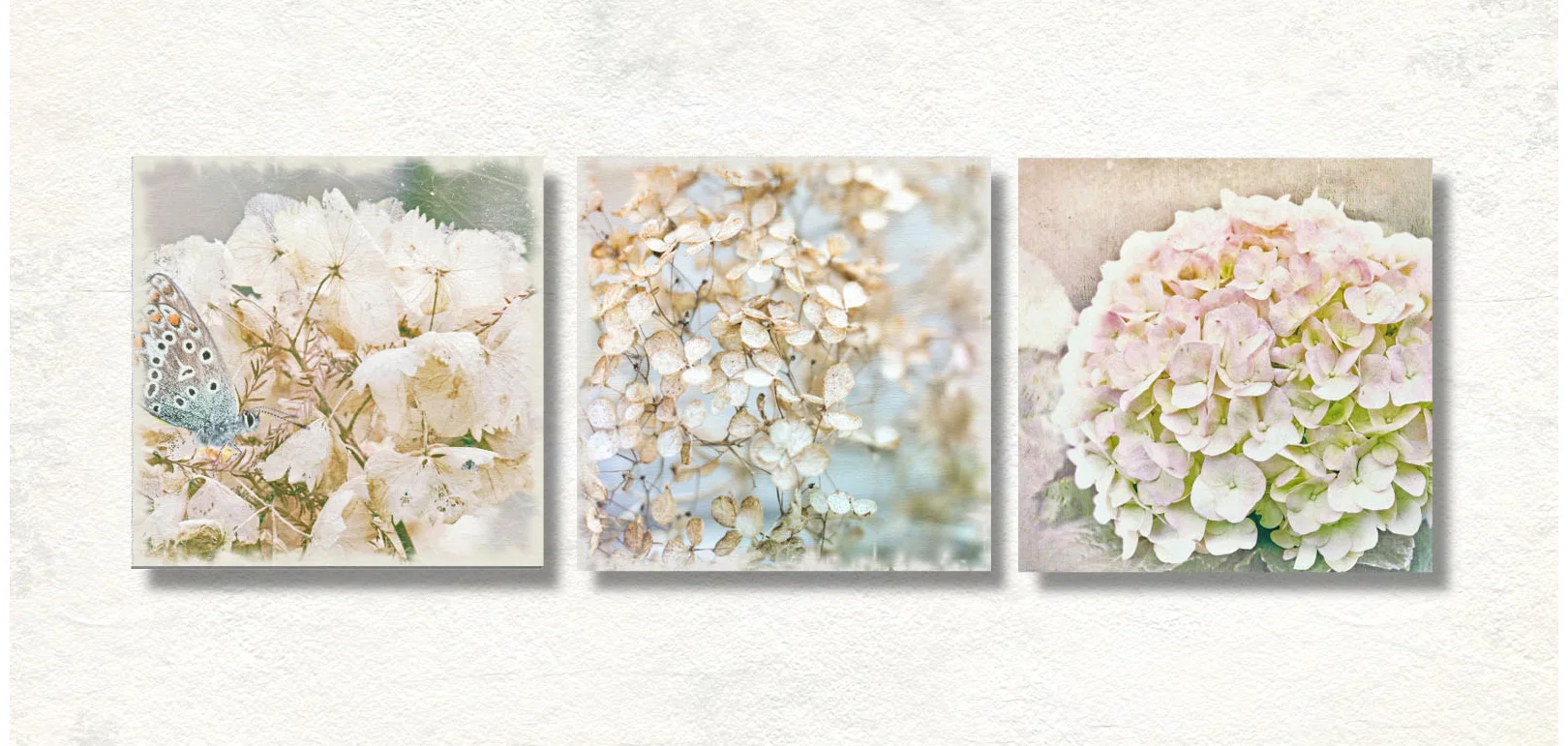 Pflanzenwelt, Blumen, Blüten, Früchte, Bäume